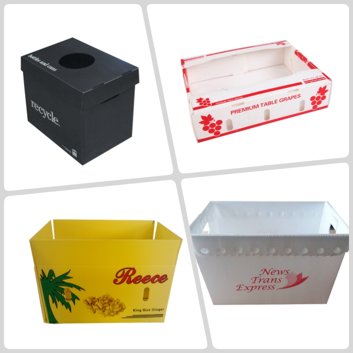 Corrugated Plastic Box