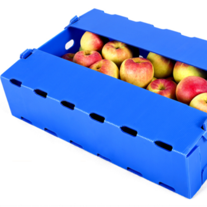 fruit packing box 2