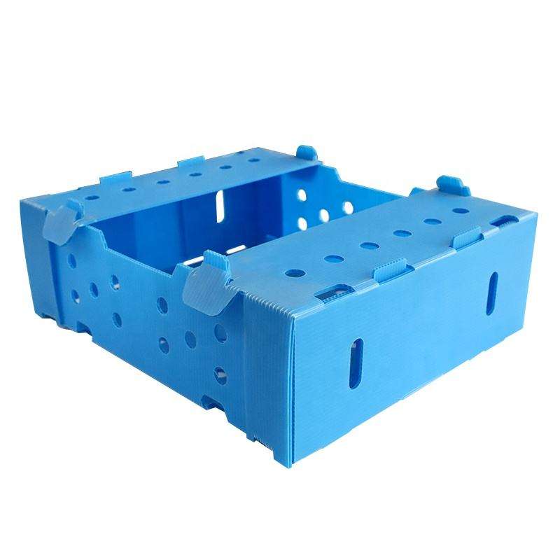 corrugated plastic box 13