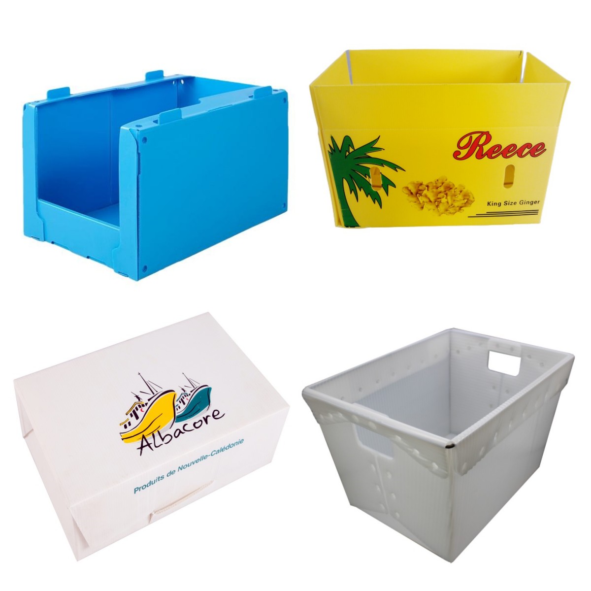 corrugated plastic box 12