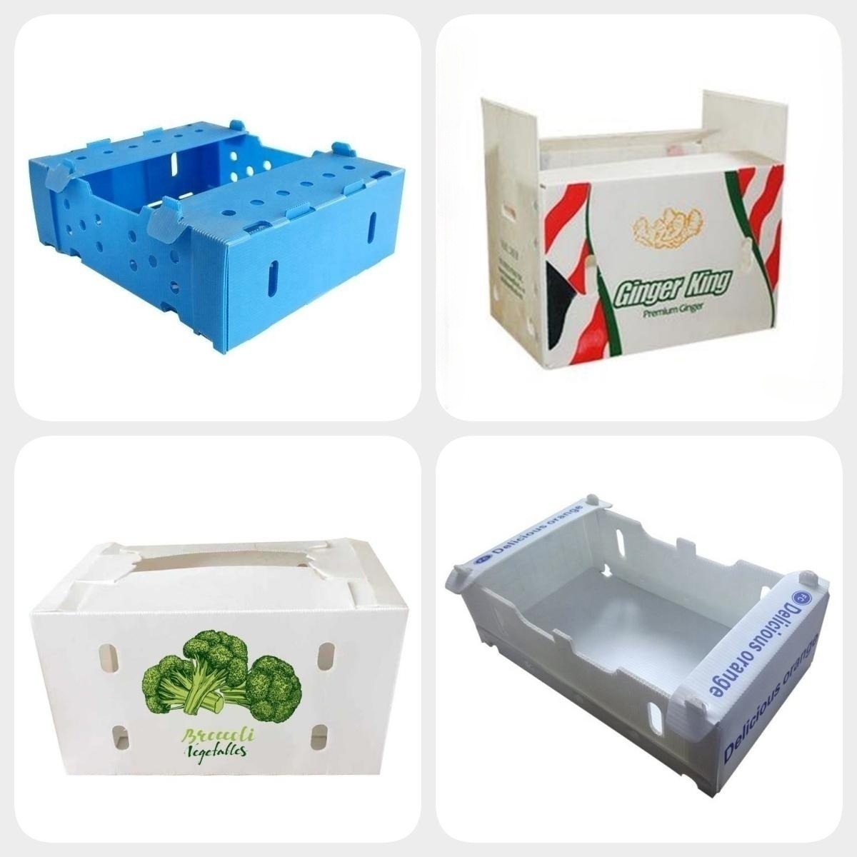 corrugated plastic box