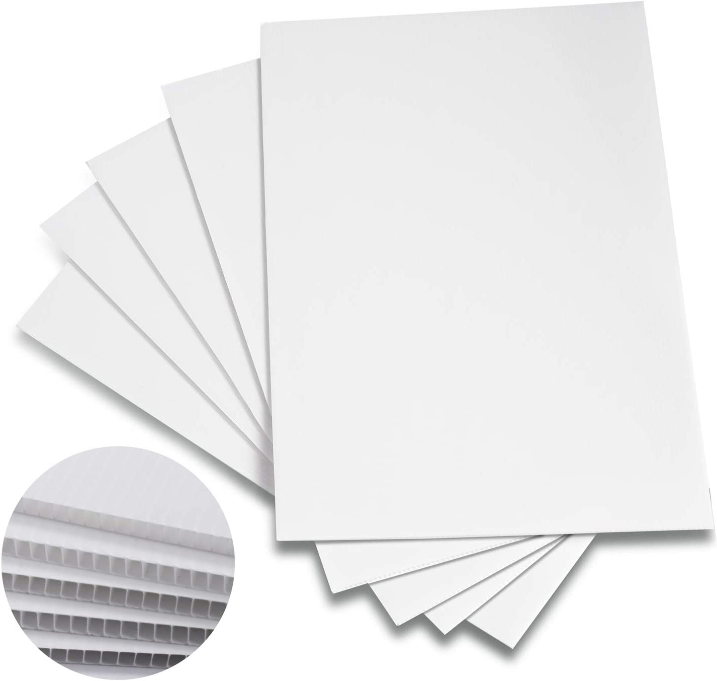 White Corflute Board - 2