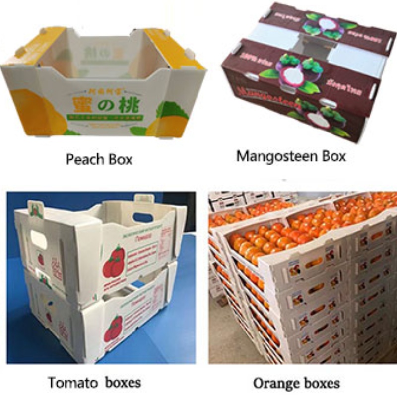 Vegetable and fruit packing boxes 