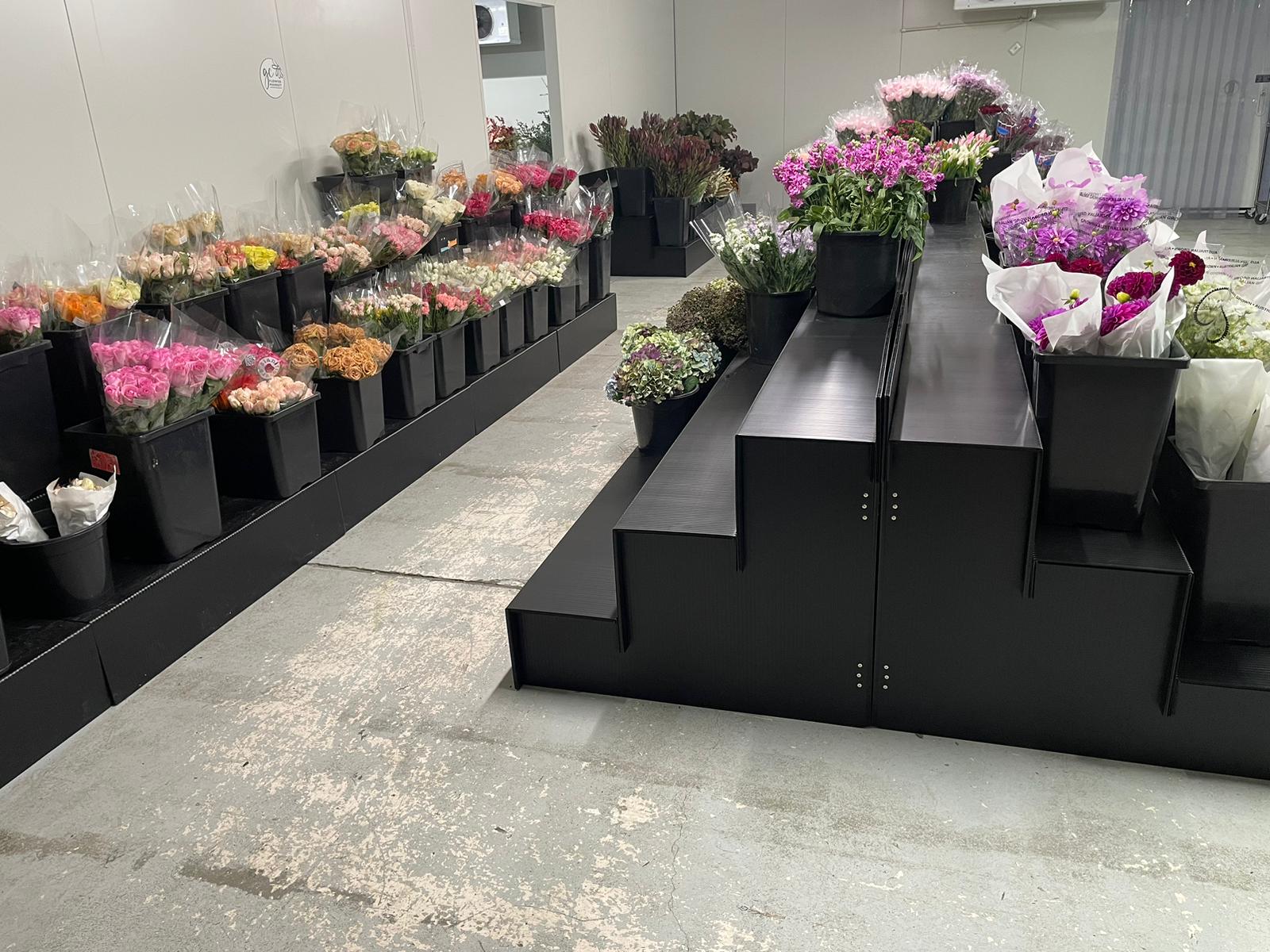 Mantis Flower Display Stand - 3