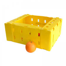 Corrugated Mantis Polypropylene Boxes