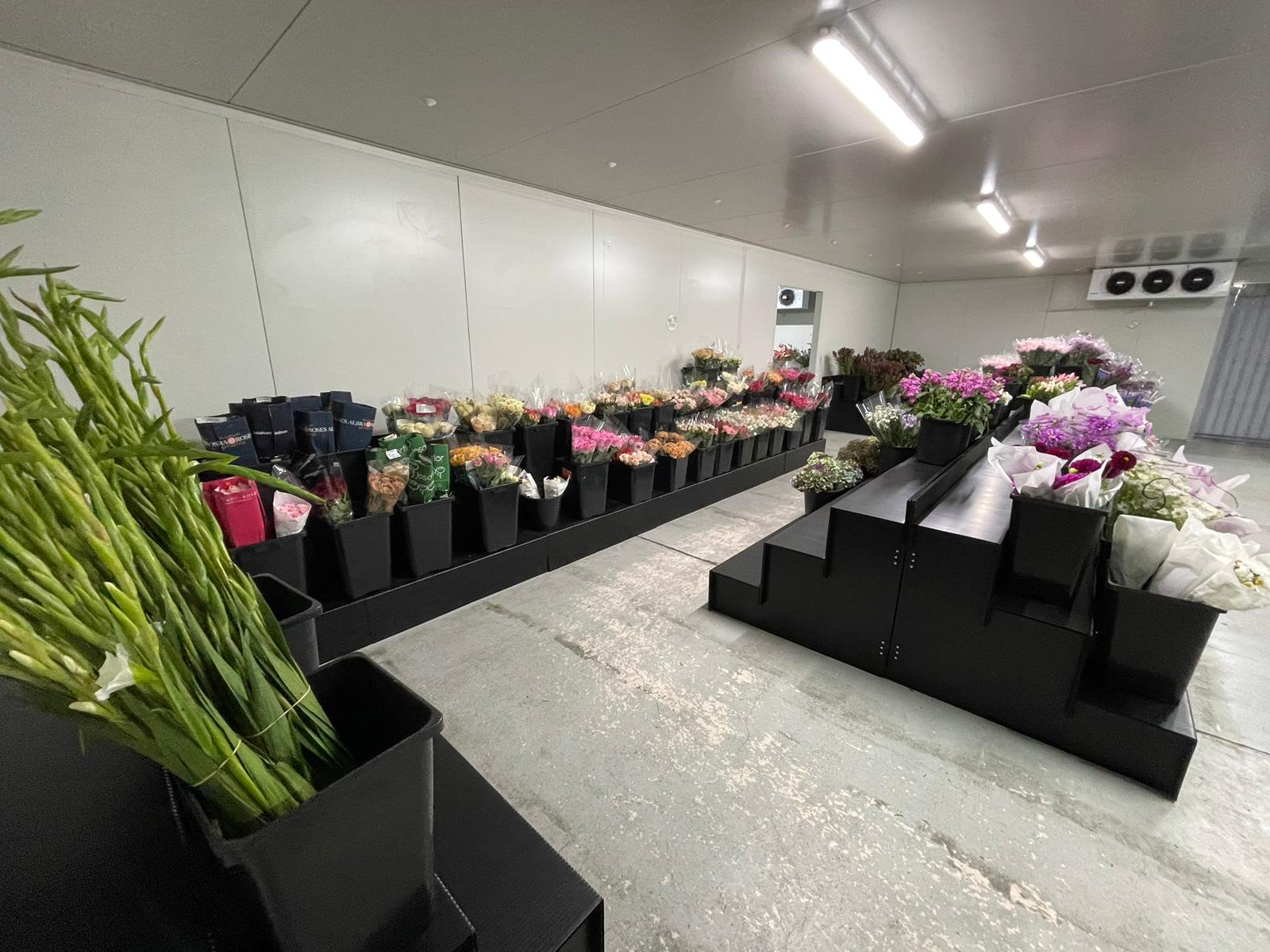 Mantis Flower Display Stand