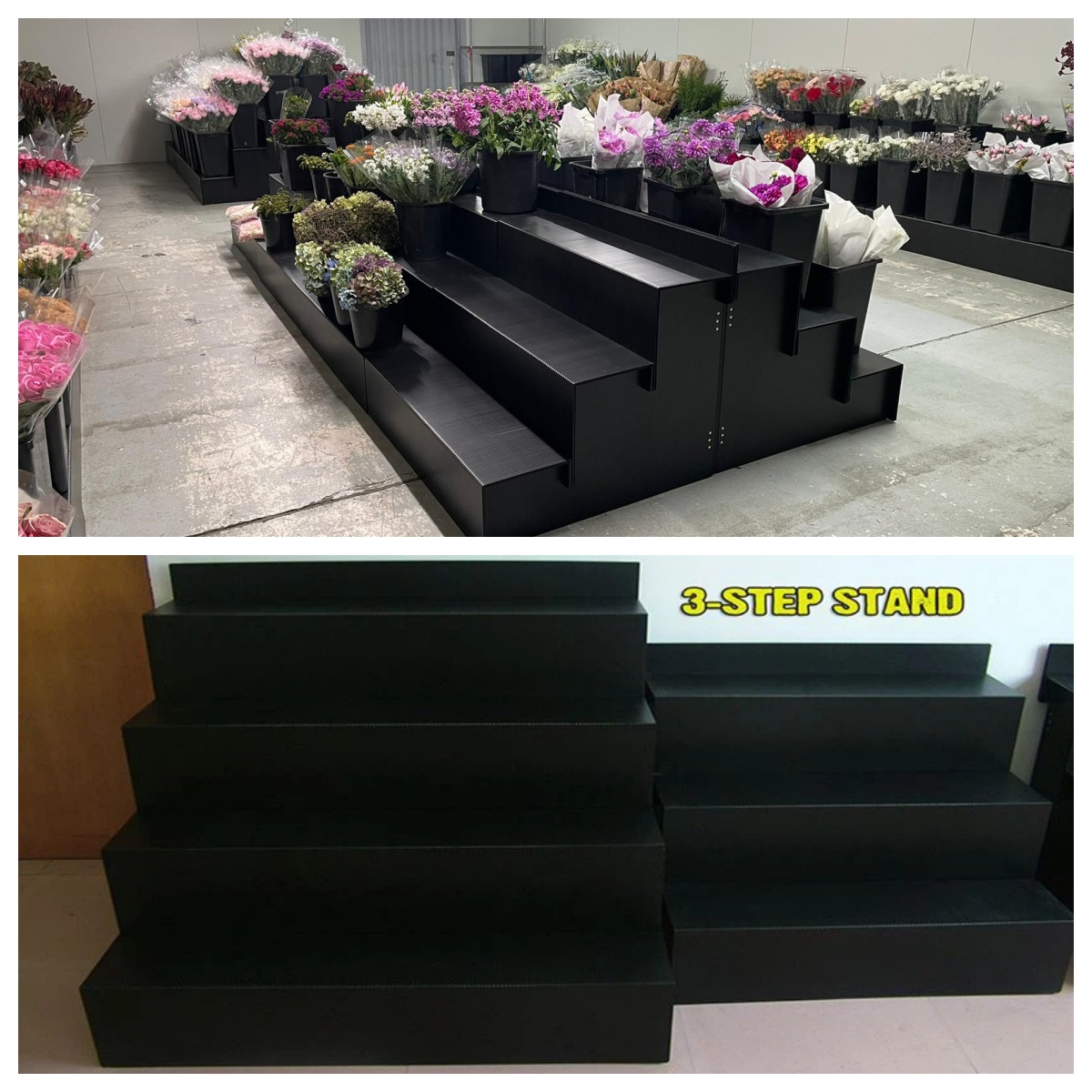 Mantis PP Flower Display Stand