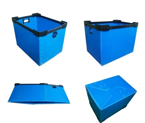 Mantis PP Hollow Plastic Boxes