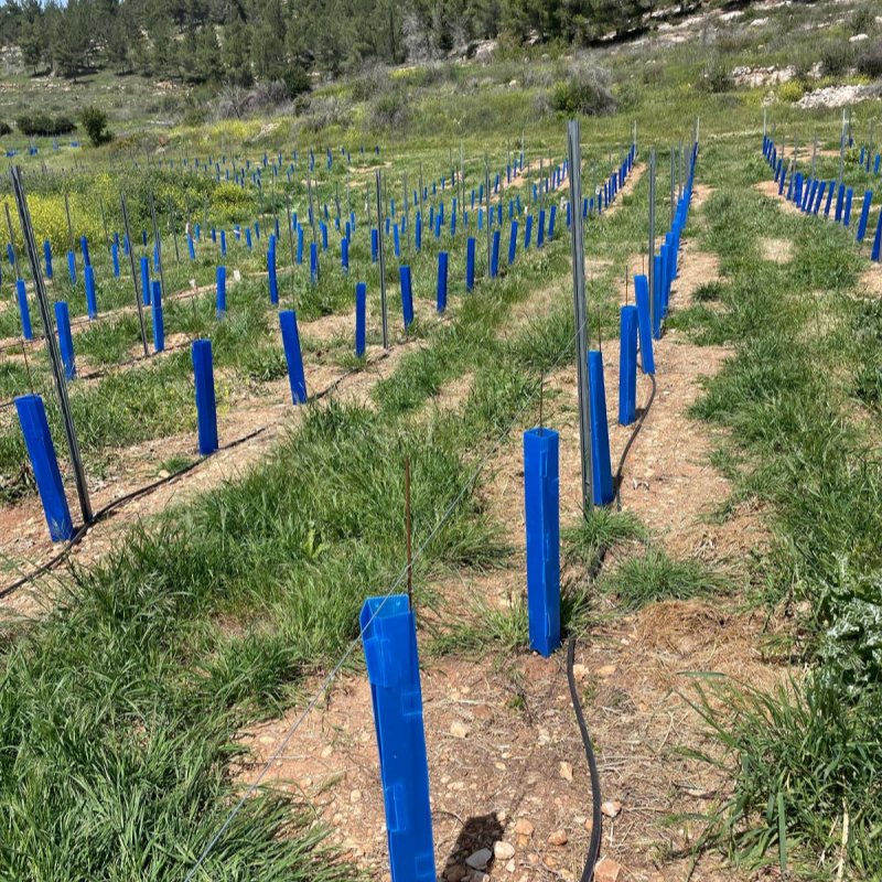 Mantis PP Corrugated Tree Guards