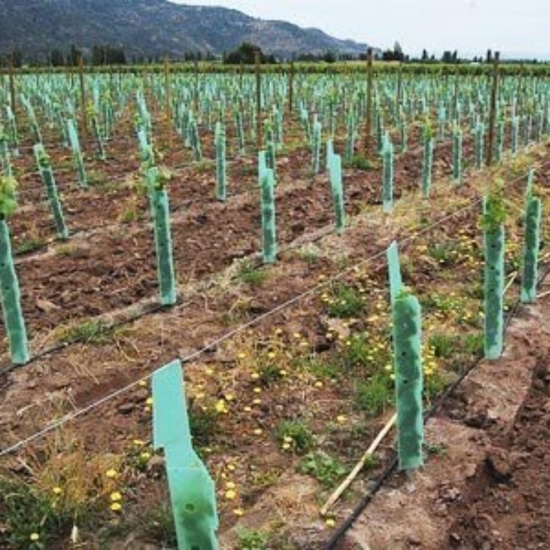 Mantis PP Corrugated Plastic Tree Guards