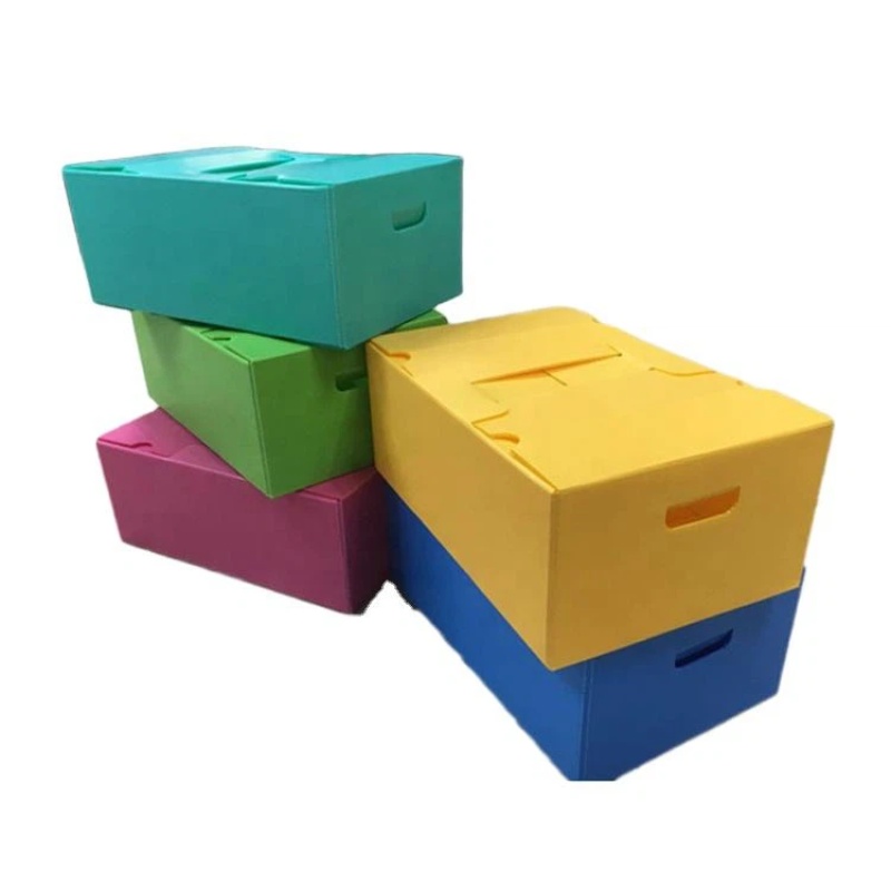 Mantis PP Hollow Plastic Boxes