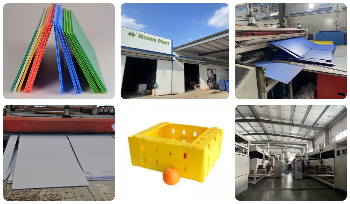 Mantis product2 Mantis product2