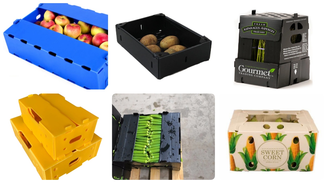 box product