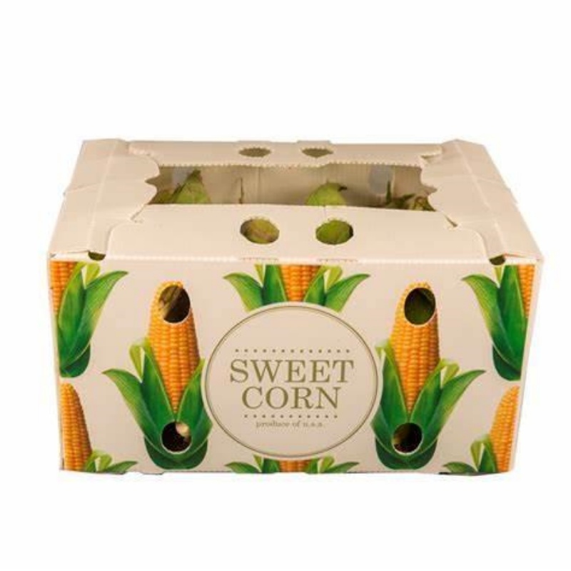 corrugated plastic box1